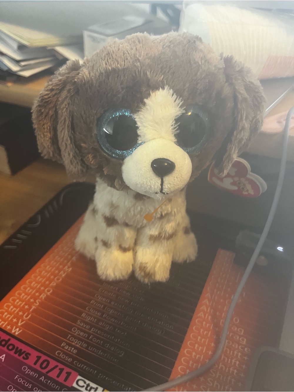 Ty Brown & White Puppy with Sparkle Blue Eyes Plush